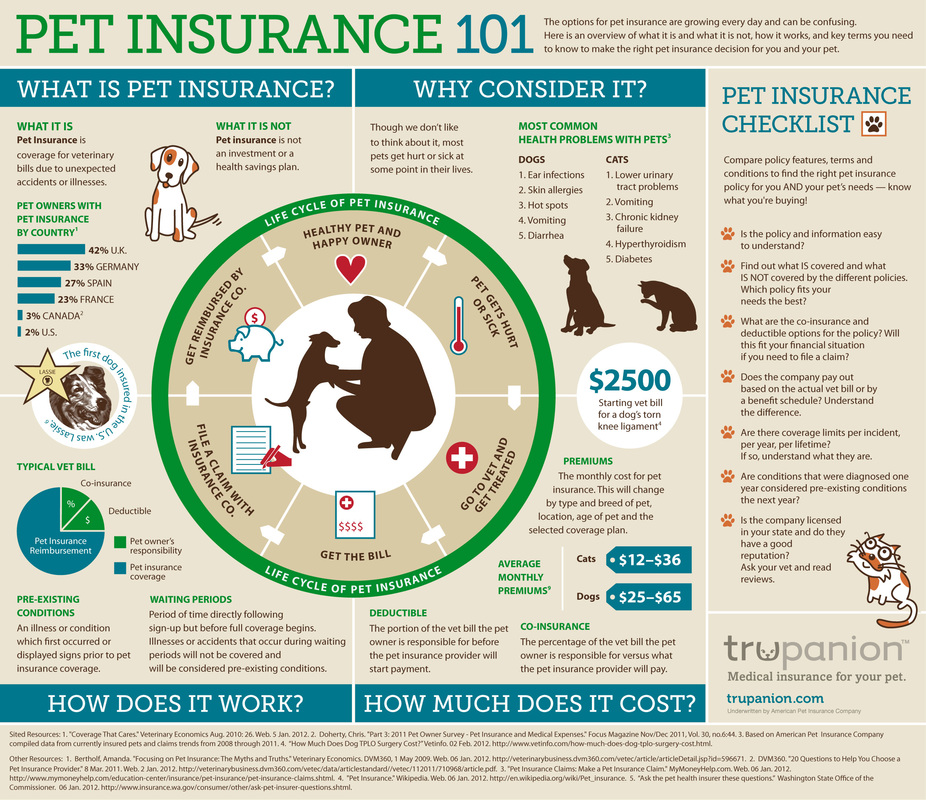 What should I know about pet insurance coverage?