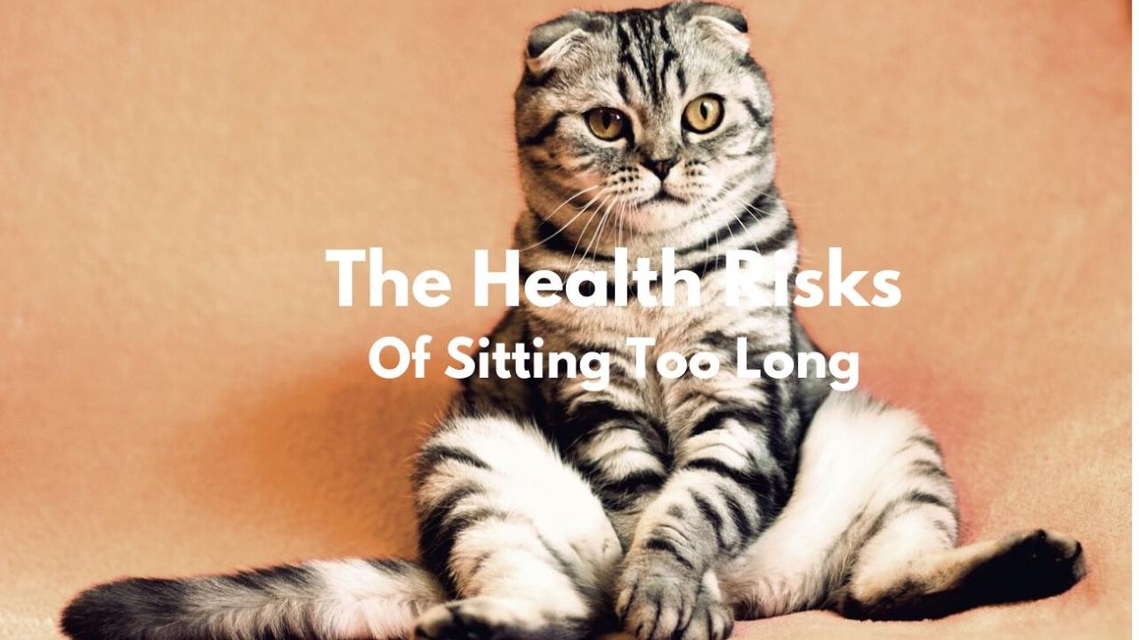 Serious Health Risks of Sitting Too Long? What You Must Know What Are The Risks Of Sitting Too Long For Health