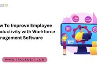 How Software Can Improve Productivity In The Workplace How Software Can Improve Productivity In The Workplace
