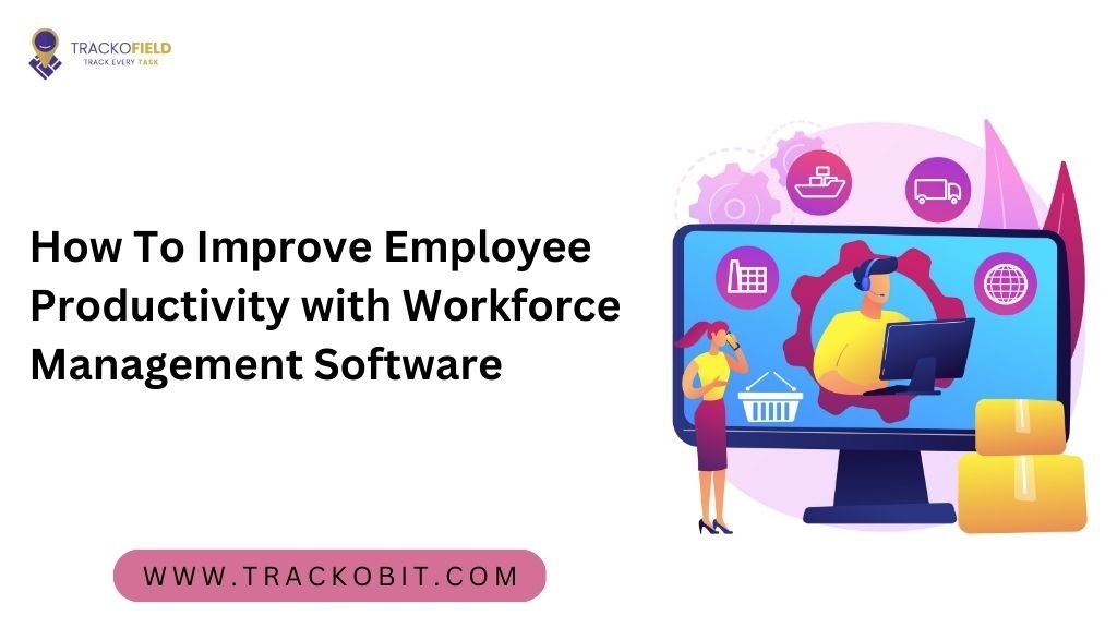 How Software Can Improve Productivity In The Workplace