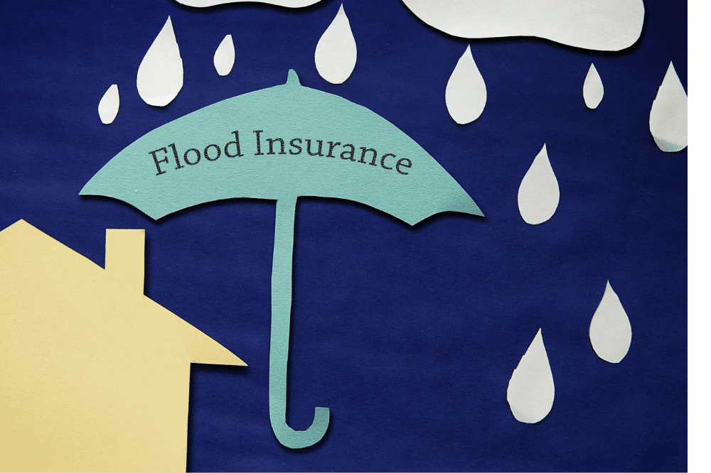 What should I know before purchasing renters insurance?
