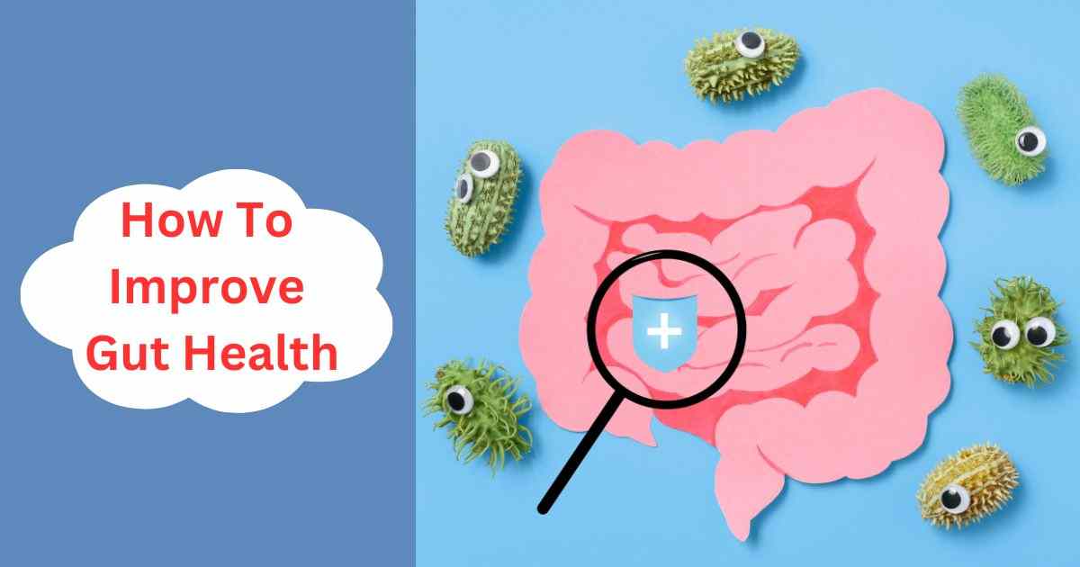 Ways To Improve Gut Health Daily for a Happier You