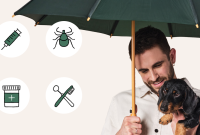 How does pet insurance work for covering veterinary expenses?